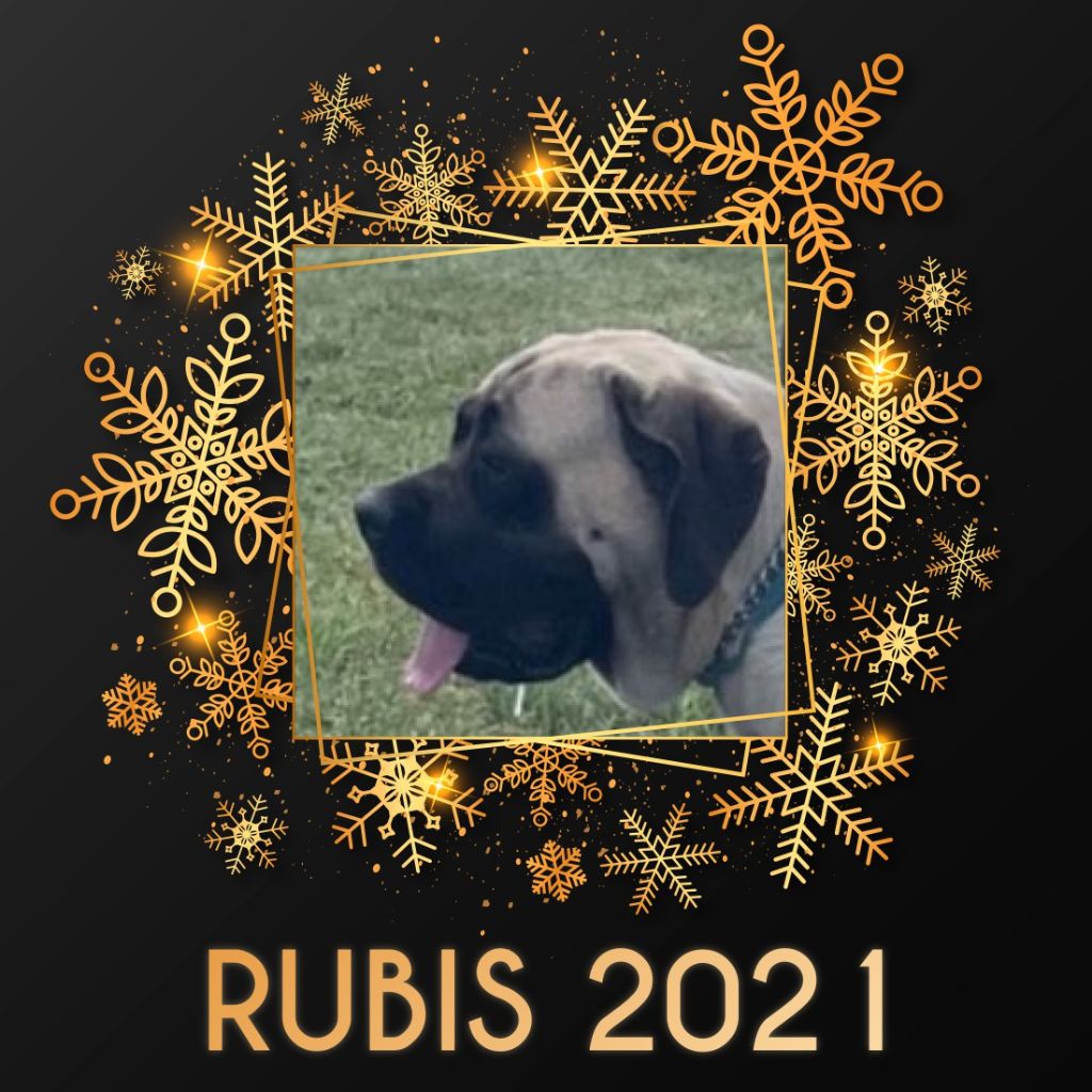 Rubis ravage des Mastiffs d'Enfer