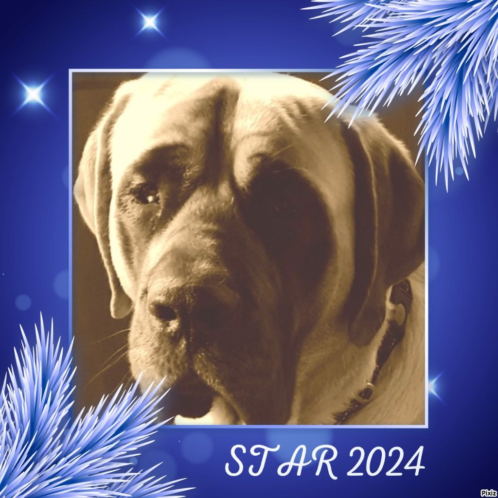 Star denfer du moulin de Guermeur